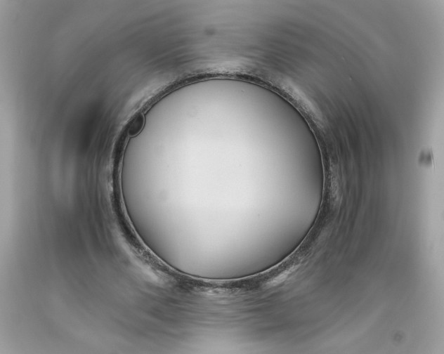 X0000091570486200709101000