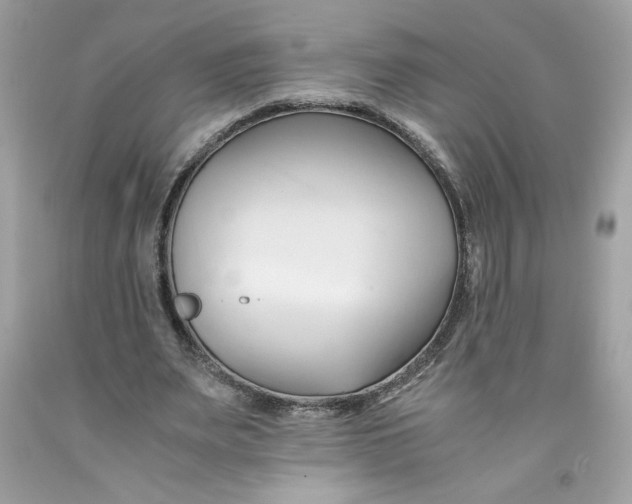 X0000091570487200709100959