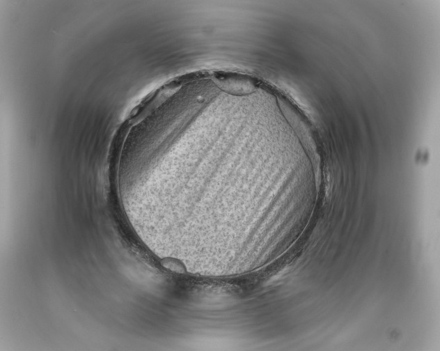 X0000091570488200709100959