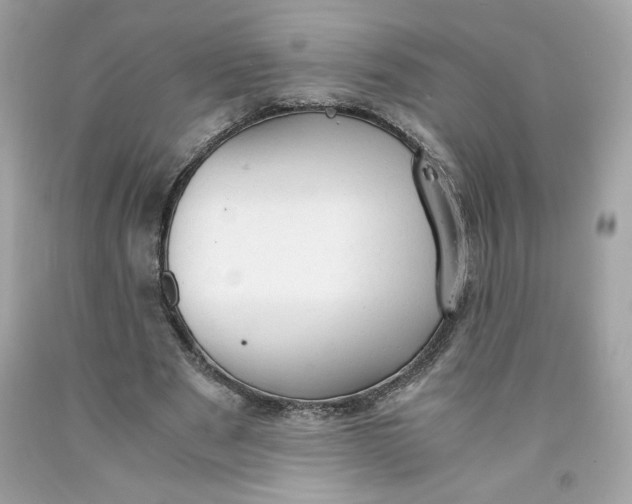 X0000091570489200709100959