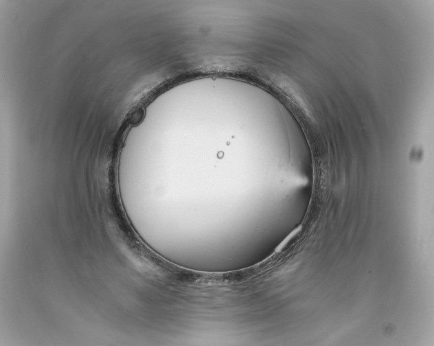 X0000091570491200709100959