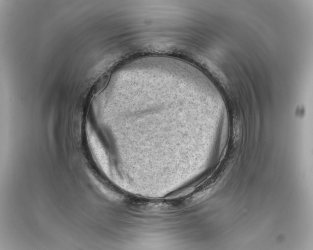 X0000091570493200709100959