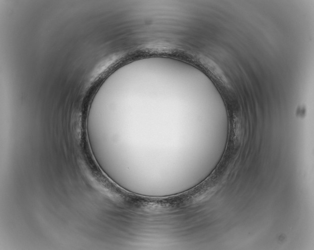 X0000091570494200709100959