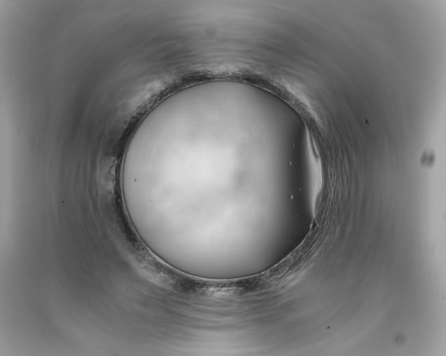 X0000091570495200709100959