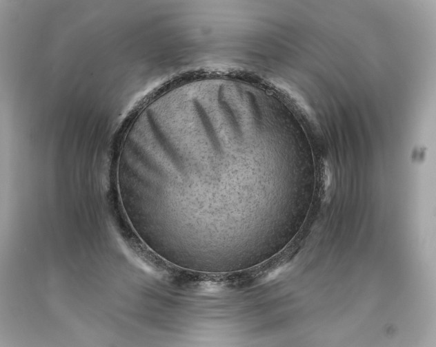 X0000091570496200709100959