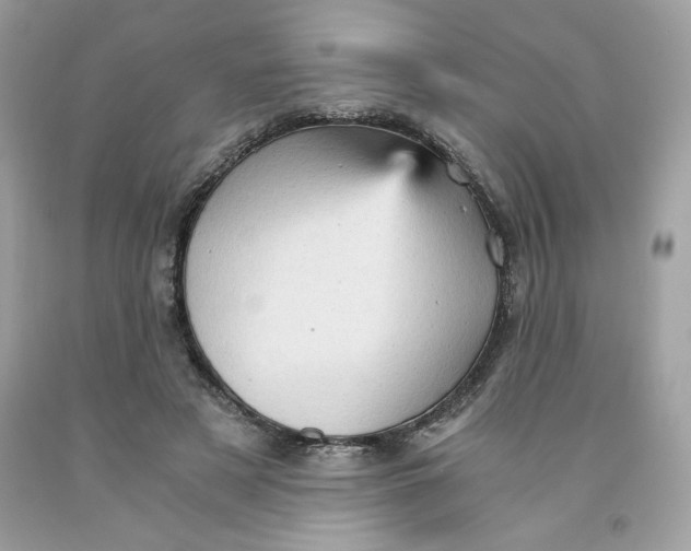 X0000091570497200709100959