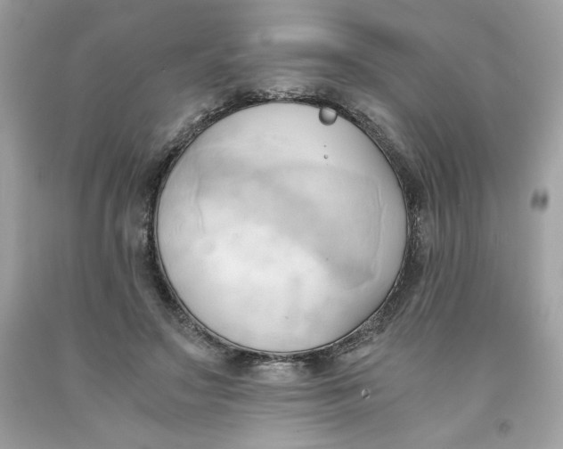 X0000091570499200709100959