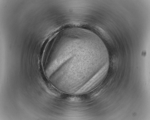 X0000091570500200709100959