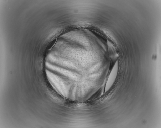 X0000091570501200709100959