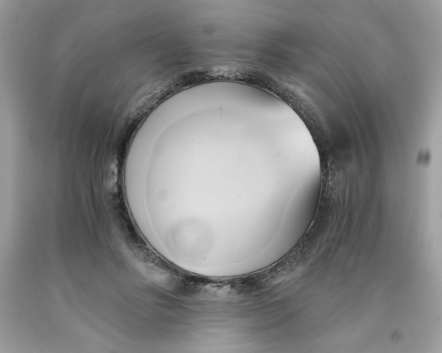 X0000091570502200709100959