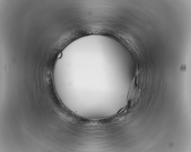 X0000091570503200709100959