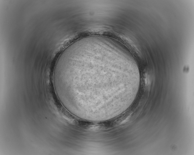 X0000091570504200709100959