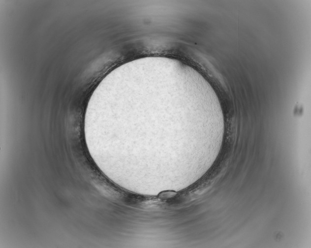 X0000091570505200709100959