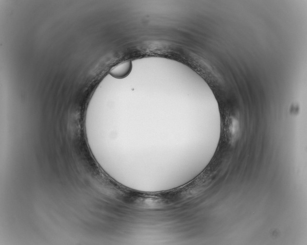 X0000091570506200709100959