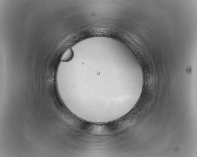 X0000091570507200709100959