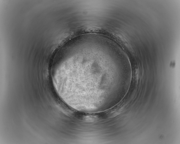 X0000091570508200709100959