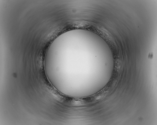 X0000091570510200709100959