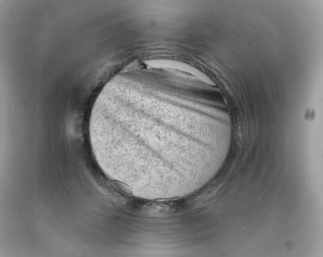 X0000091570512200709100959