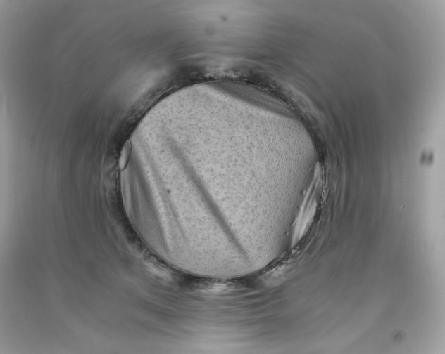 X0000091570513200709100959