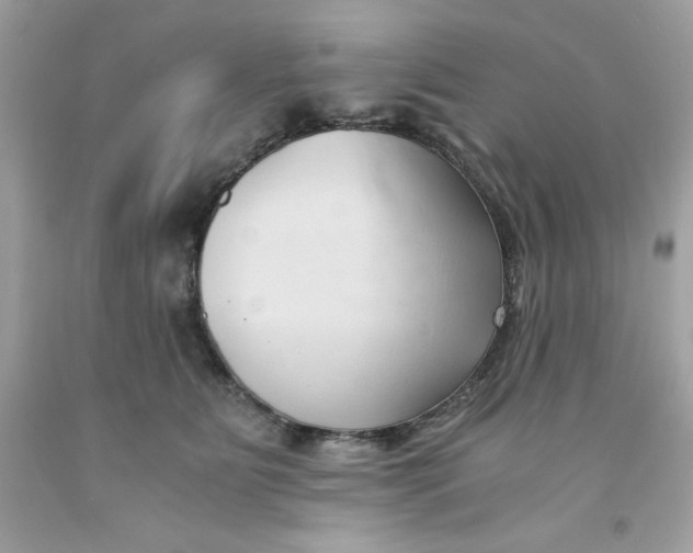 X0000091570515200709100959