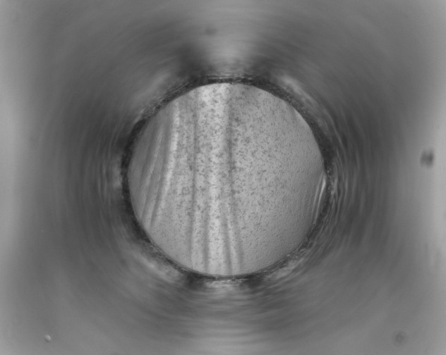 X0000091570516200709100959