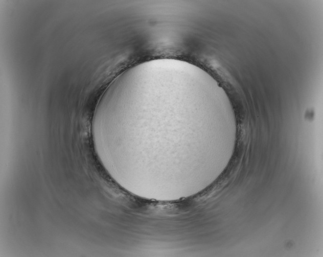 X0000091570517200709100959