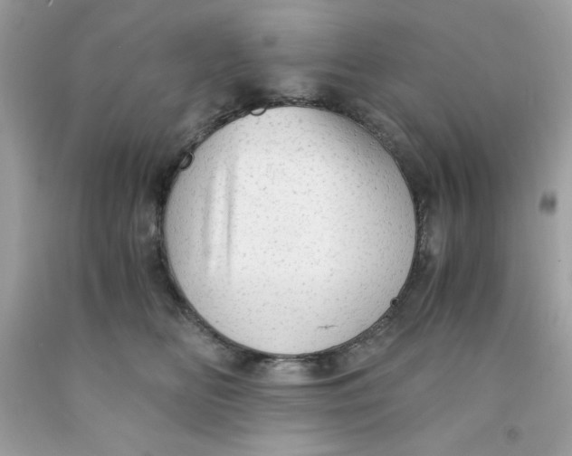 X0000091570518200709100959