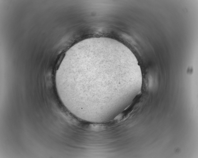 X0000091570520200709100959