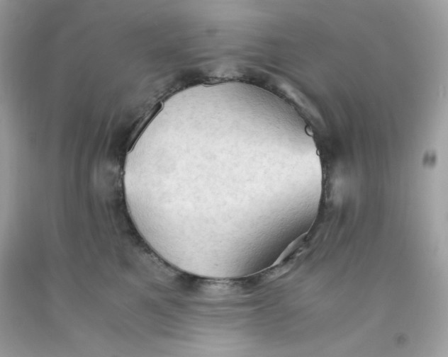 X0000091570521200709100959