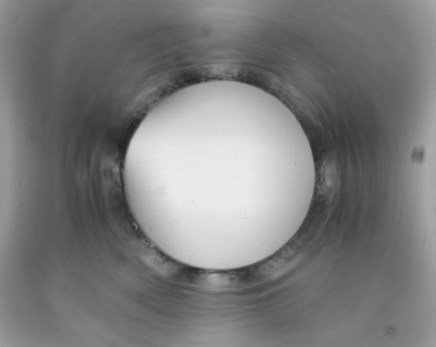 X0000091570522200709100959