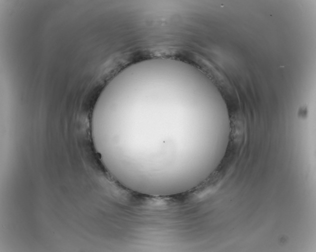 X0000091570523200709100959