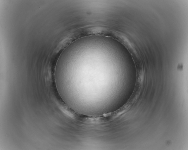 X0000091570524200709100959