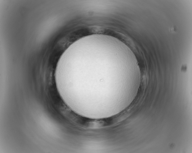 X0000091570525200709100959