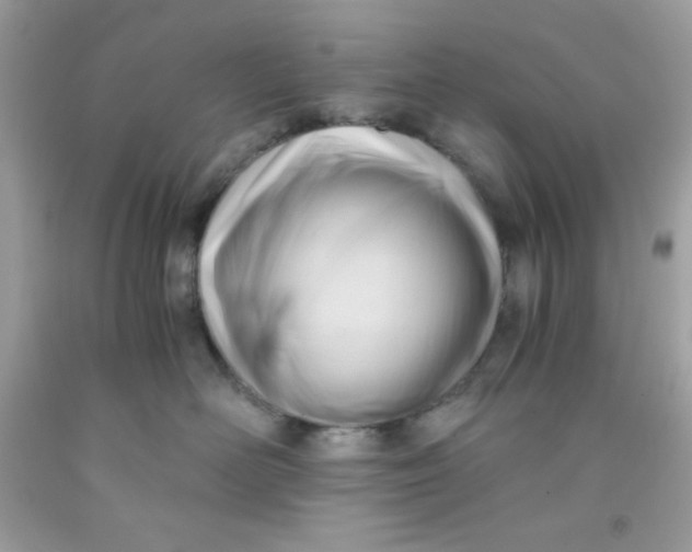 X0000091570526200709100959