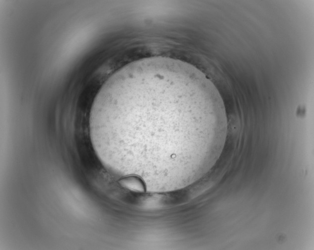 X0000091570527200709100959