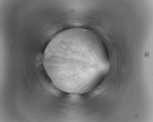 X0000091570528200709100959