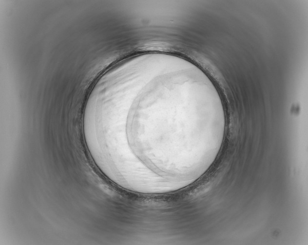 X0000091570529200709100958