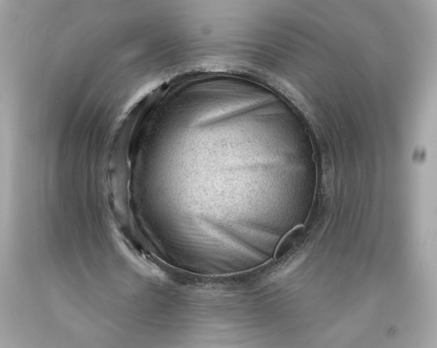 X0000091570530200709100958