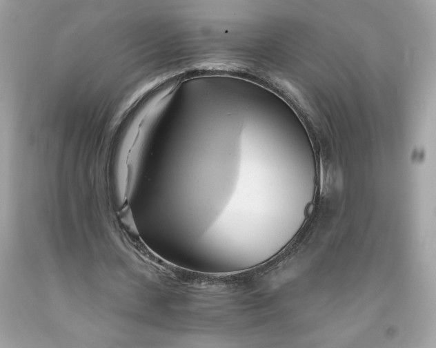 X0000091570531200709100958