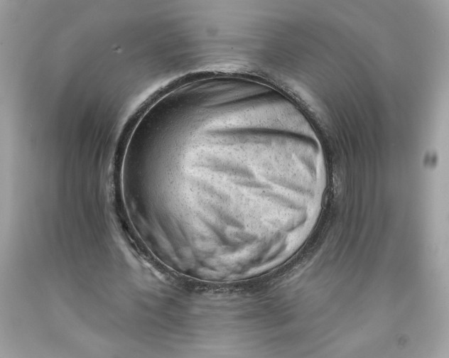 X0000091570532200709100958