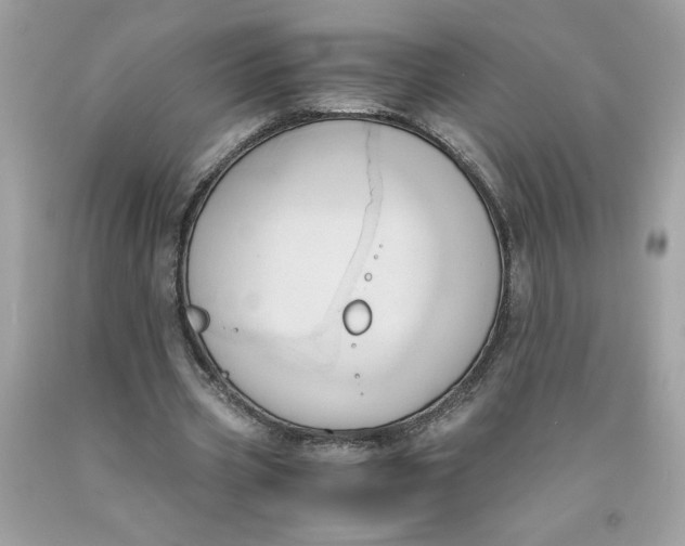 X0000091570533200709100958