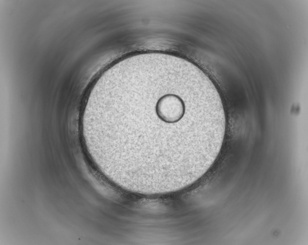 X0000091570534200709100958