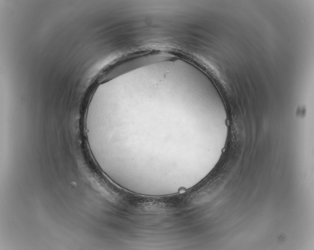 X0000091570535200709100958