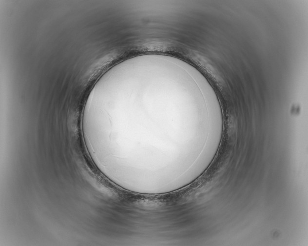 X0000091570537200709100958