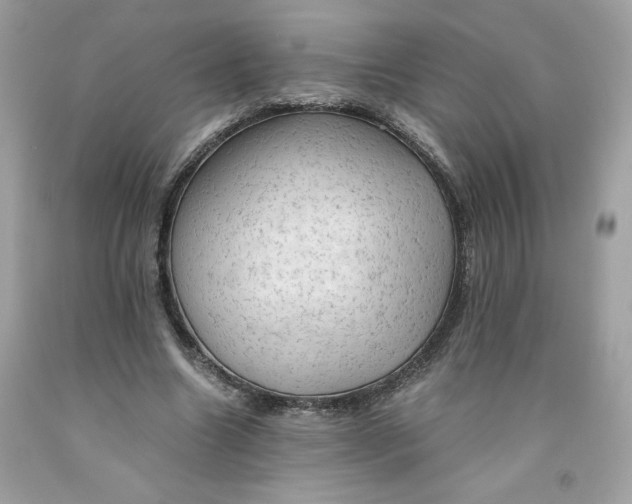 X0000091570538200709100958