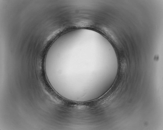 X0000091570539200709100958