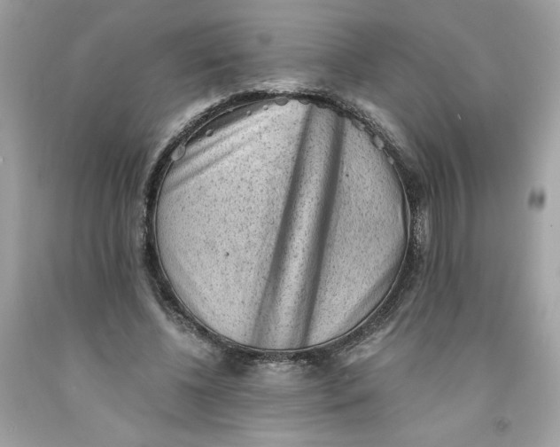 X0000091570540200709100958