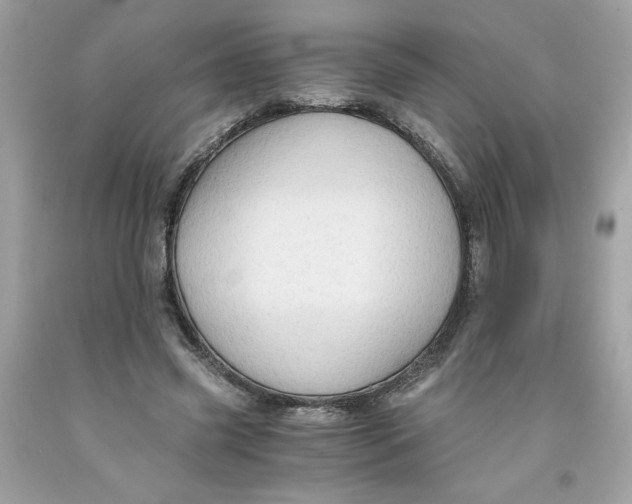 X0000091570541200709100958