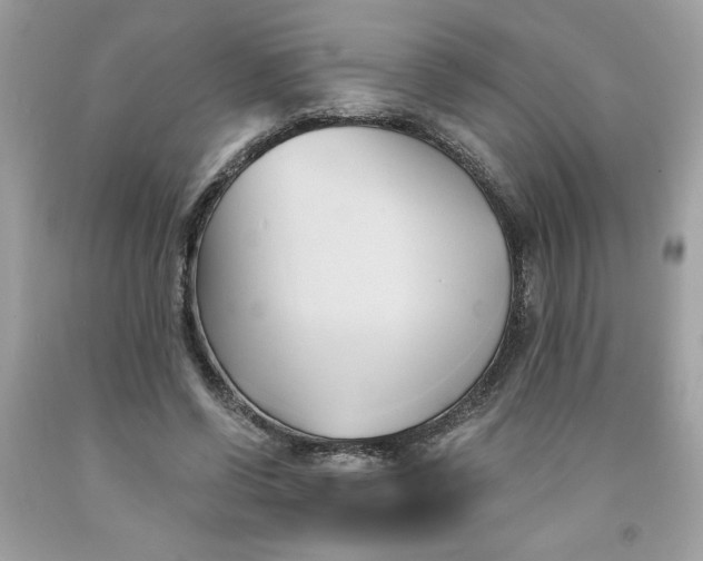 X0000091570542200709100958