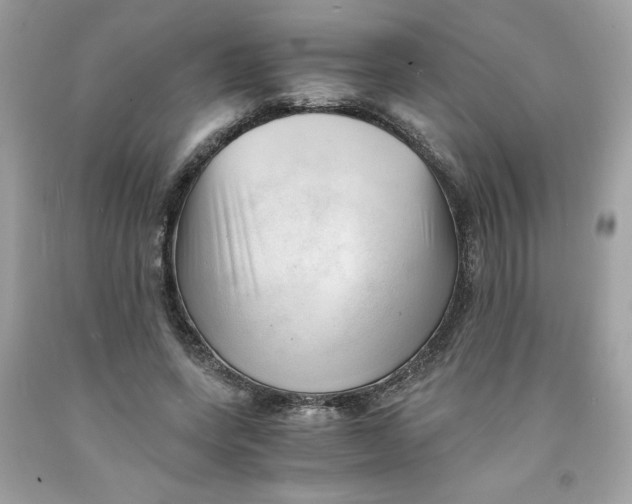 X0000091570543200709100958